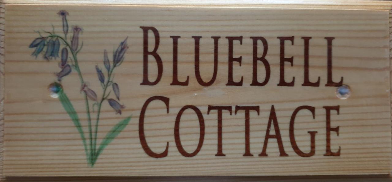 Bluebells At Plover Cottage Lindley Huddersfield Buitenkant foto